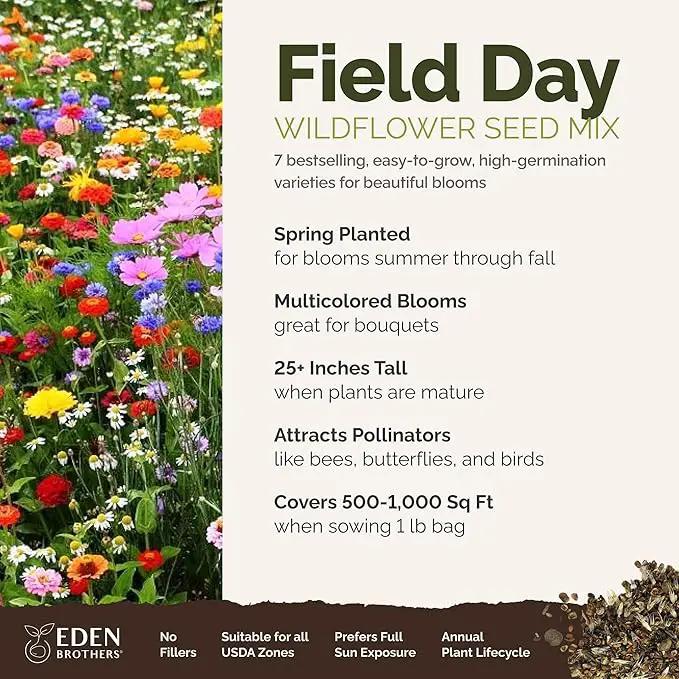 Eden Brothers Field Day Flower Mixed Seeds for Planting, 1 lb, 480,000+ Seeds with Zinnia Lilliput, Calendula Mix | Attracts Pollinators, Plant in Spring or Fall, Zones 3, 4, 5, 6, 7, 8, 9, 10 by GreenHaven Gardens