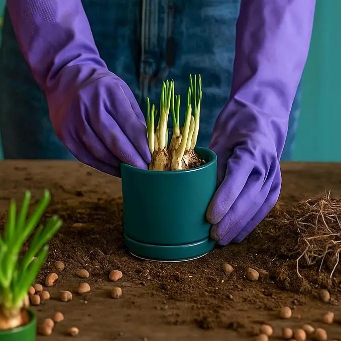 D'vine Dev 3.5 Inch Ceramic Planter Pot with Drainage Hole and Saucer, Indoor Cylinder Round Planter Pot, Teal, 94-O-A-9 by GreenHaven Gardens