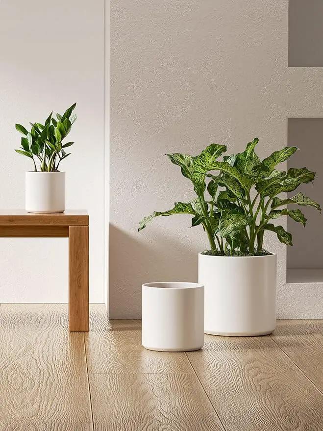 LE TAUCI Ceramic Pots for Plants, 10+8+6 Inch Indoor Plant Pots, Modern Planters for Indoor Plants Home Office, Cylinder Round Planters with Drainage Hole and Plug, Set of 3, White by GreenHaven Gardens
