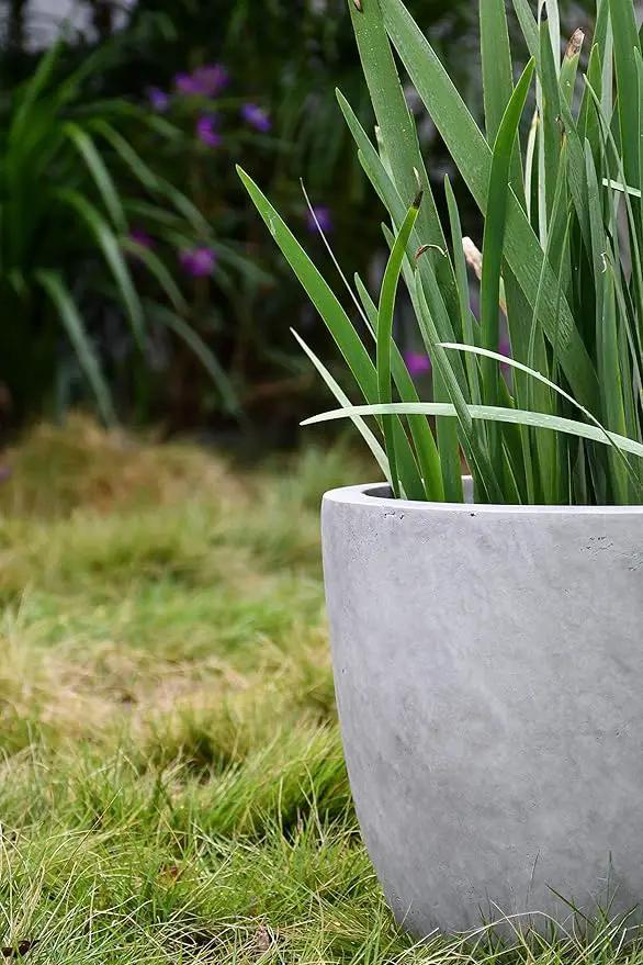 Kante 14 Inch Dia Round Concrete Planter, Indoor Outdoor Large Plant Pot with Drainage Hole and Rubber Plug for Home Patio Garden, Natural Concrete by GreenHaven Gardens