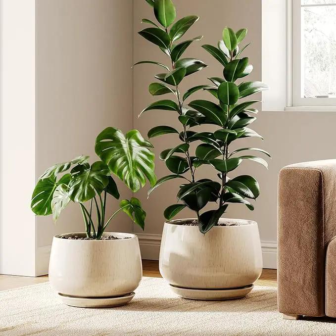 LE TAUCI Ceramic Plant Pots, Set of 2, 10 + 12 Inch Plant Pot, Elegant Planters for Indoor Plants, Sturdy Planter with Drainage Hole and Saucers, Perfect for Home Decor, Reactive Glaze Beige by GreenHaven Gardens