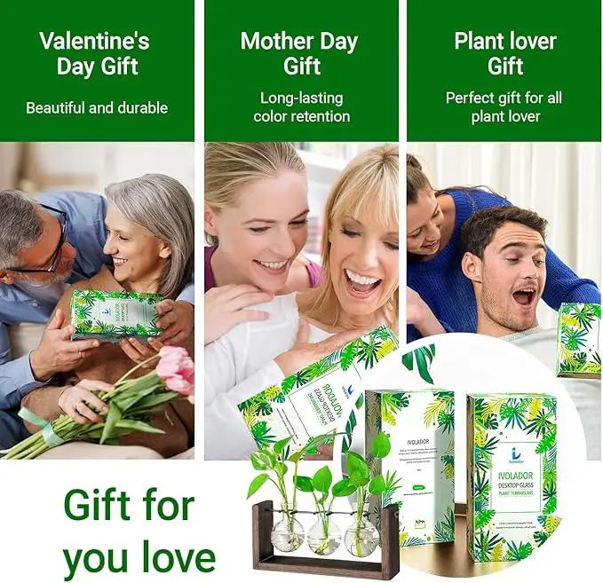 Ivolador Wall Hanging Plant Propagation Station,Bulb Plant Terrarium with Wooden Stand,Unique Gardening Gifts for Women Plant Lovers,Hydroponic Indoor Planter Home Office Decor-3 Bulb Glass Vases by GreenHaven Gardens