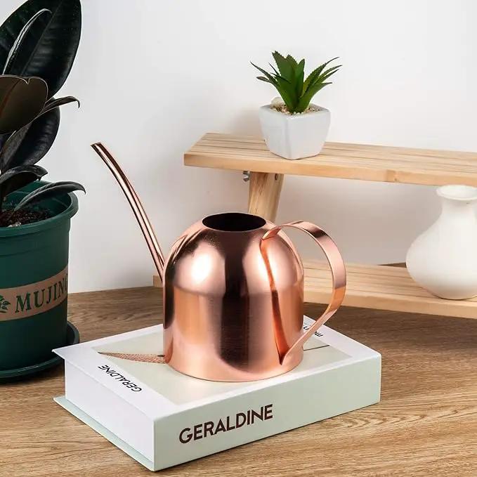 IMEEA Indoor Watering Can for House Plants 33oz/1L Stainless Steel Watering Can with Long Spout (Rose Gold) by GreenHaven Gardens