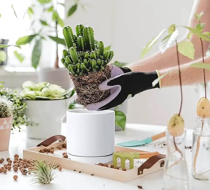 D'vine Dev Set of 2 Plants Pots, 6 Inch Ceramic Planter Pot for Plants with Drainage Hole and Saucer, White, 94-V-C-1 by GreenHaven Gardens