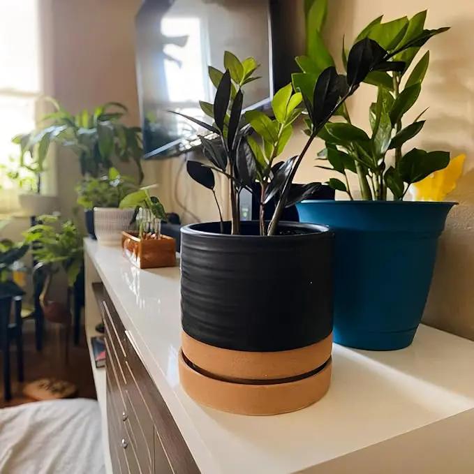 6 Inch Plant Pots, Ceramic Planter Pot with Drainage Hole & Saucer, Indoor/Outdoor Cylinder Round Planter Pot, Matte Black & Brown by GreenHaven Gardens