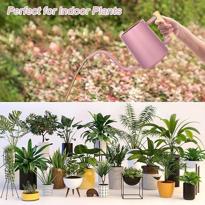 Watering Can Indoor Plants, 35 oz/1000 ml Metal Stainless Steel Watering Can Pot with Long Spout for Indoor House Plants Bonsai Outdoor Garden Flower Decorative (Pink) by GreenHaven Gardens