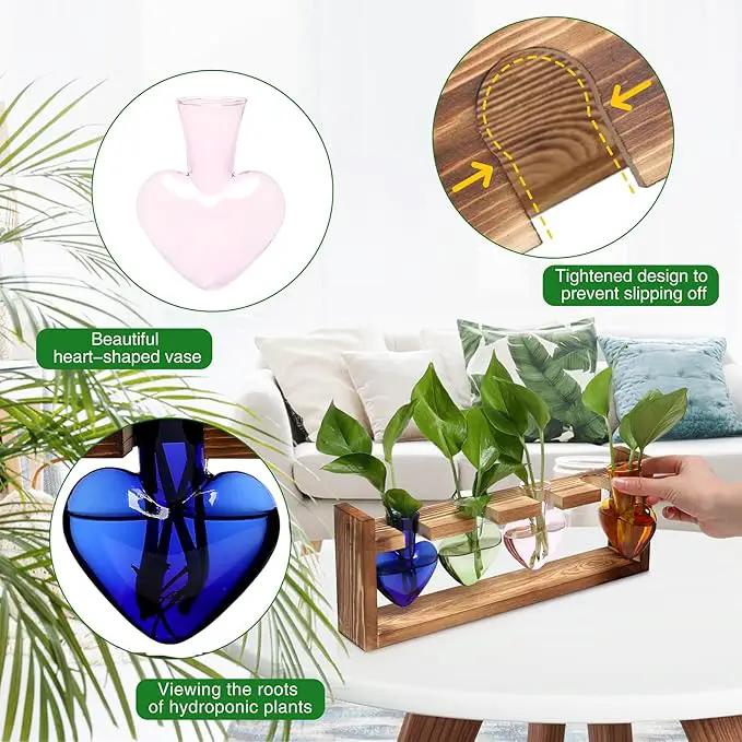 Plant Propagation Stations Heart Plant Terrarium Kit Gift for Women Plant Lover Glass Vases by GreenHaven Gardens