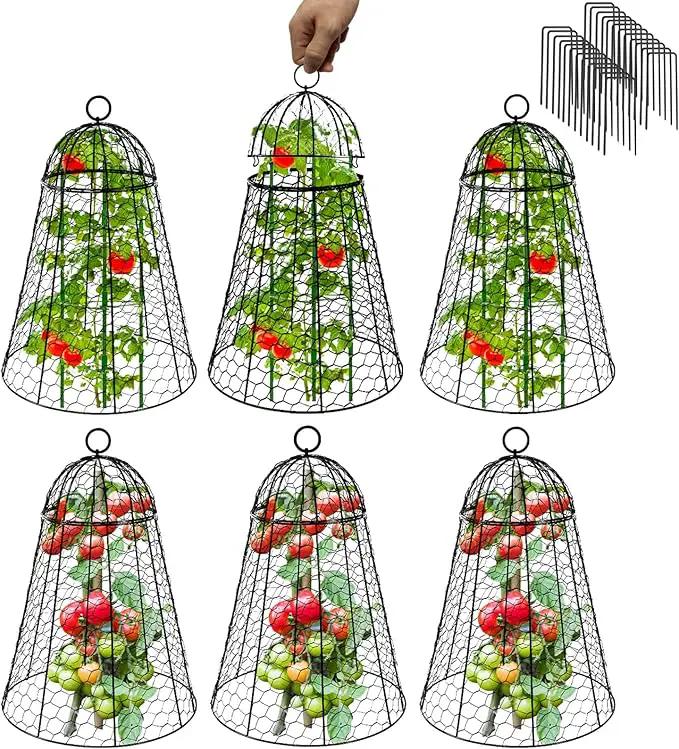 Garden Cloches for Plants Extra Large Sapbontchi Garden Cloche Chicken Wire Cloche for Plants Cages Cover Plant Protectors from Animals in Outdoor Vegetable Garden Set of 6 Plant Cloche 20" H x 12" D by GreenHaven Gardens