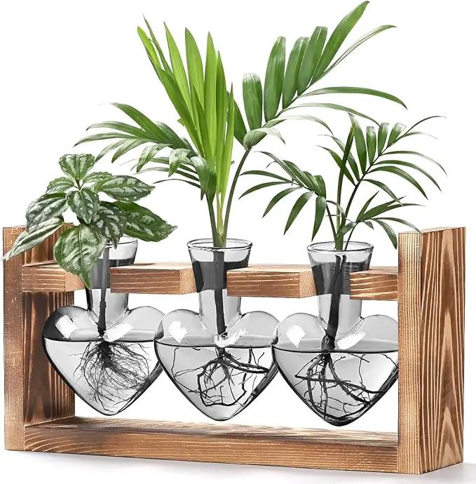 Lifecapido Heart Shaped Propagation Stations, Plant Terrarium with Wooden Stand, Plant Propagation Station for Hydroponics Plants Office Garden Home Decor, Gifts for Women Plant Lover (3 Vases, Gray) by GreenHaven Gardens