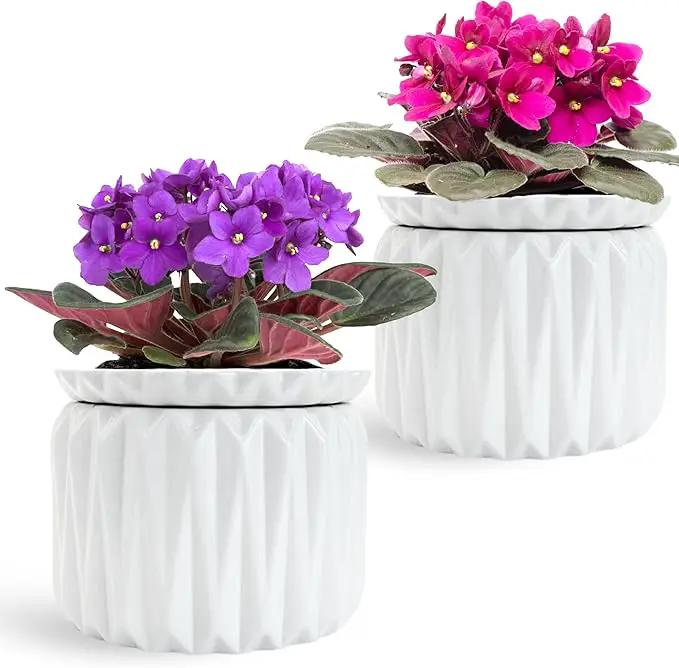 6 inch Self Watering Pot for Indoor Plants, African Violet Pot Ceramic, Flowers Planter (4 inch Opening), Holds 3 Weeks of Water (2 Pack White) by GreenHaven Gardens