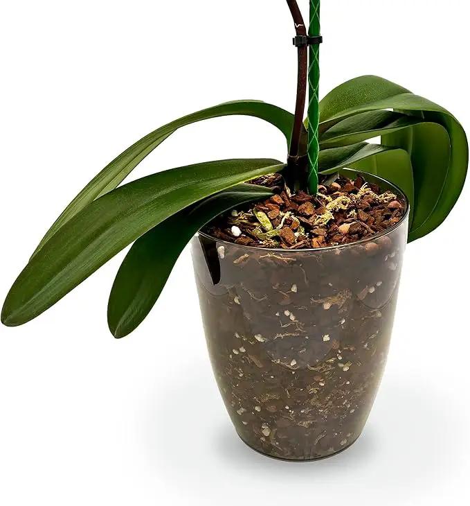 Premium Orchid Soil Mix by Gardenera - Hand Mixed New Zealand Pinus Radiata 100% Natural Potting Soil Bark Mix - for Phalaenopsis Orchid - 5 Quart - Made in USA