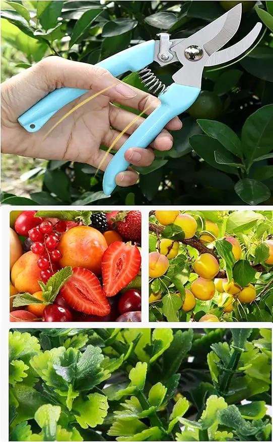 5pcs Garden Flower Shears Pruning Shears 6.9 inches Scissors Heavy Duty Plant Scissors for Cutting Flowers, Trimming Plants, Bonsai, Fruits Picking (Blue Handle 5pcs) by GreenHaven Gardens
