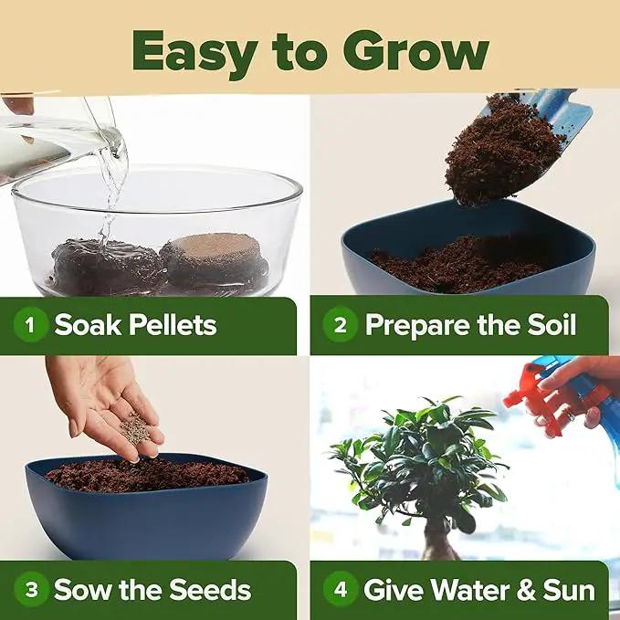 Bonsai Tree Kit - Gifts for Men & Women (Master Kit) by GreenHaven Gardens