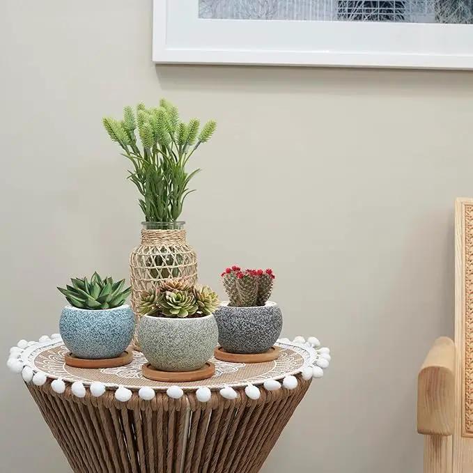 3 inch Ceramic pots for Plants, Small Succulent Pots Set with Drainage, 6 Pack Flower Pot for Indoor Plant, Decorative Planters for Little or Mini Cactus by GreenHaven Gardens