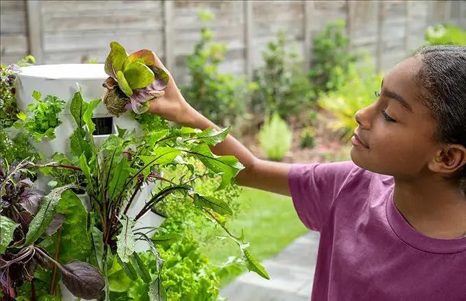 Tower Garden Seedling Starter Kit by GreenHaven Gardens