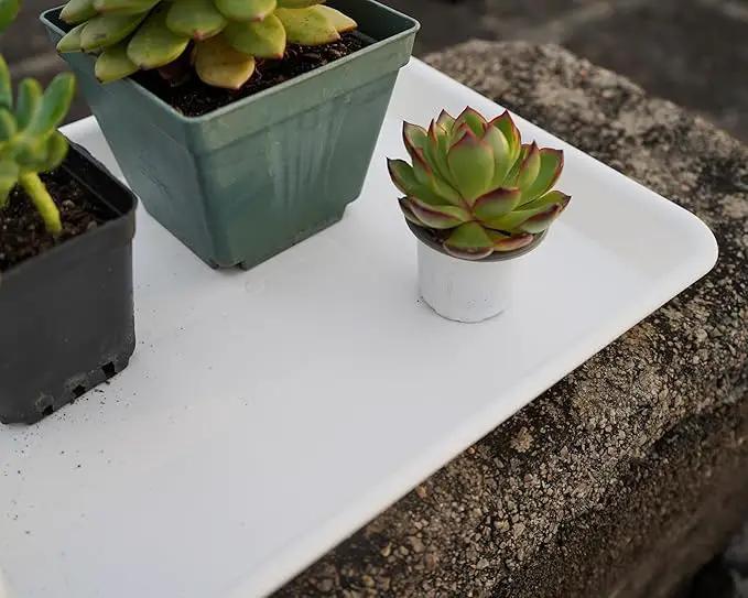 4 Pack Plant Saucer Tray Rectangular, Plant Saucers for Indoors, Heavy Sturdy Plastic Plant Drainage Trays, Plant Drip Trays for Pots, Seed Starter Growing Tray (11 x 9, Creamy White) by GreenHaven Gardens