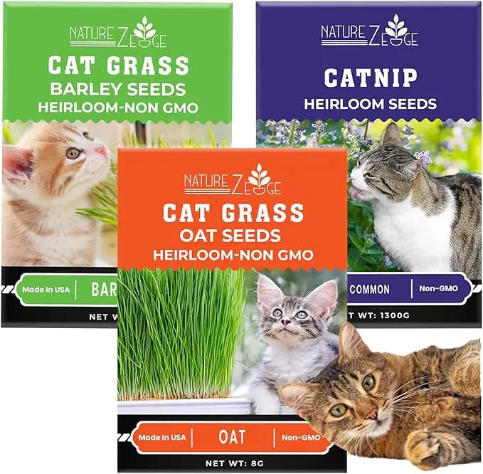 NatureZ Edge Cat Grass Seeds & Catnip Seeds - 3 Pack Variety Kit, Cat Grass for Indoor Cats, Oat & Barley Seeds for Planting, Cat Plant, Indoor Cat Grass Kit, hierba para Gatos by GreenHaven Gardens