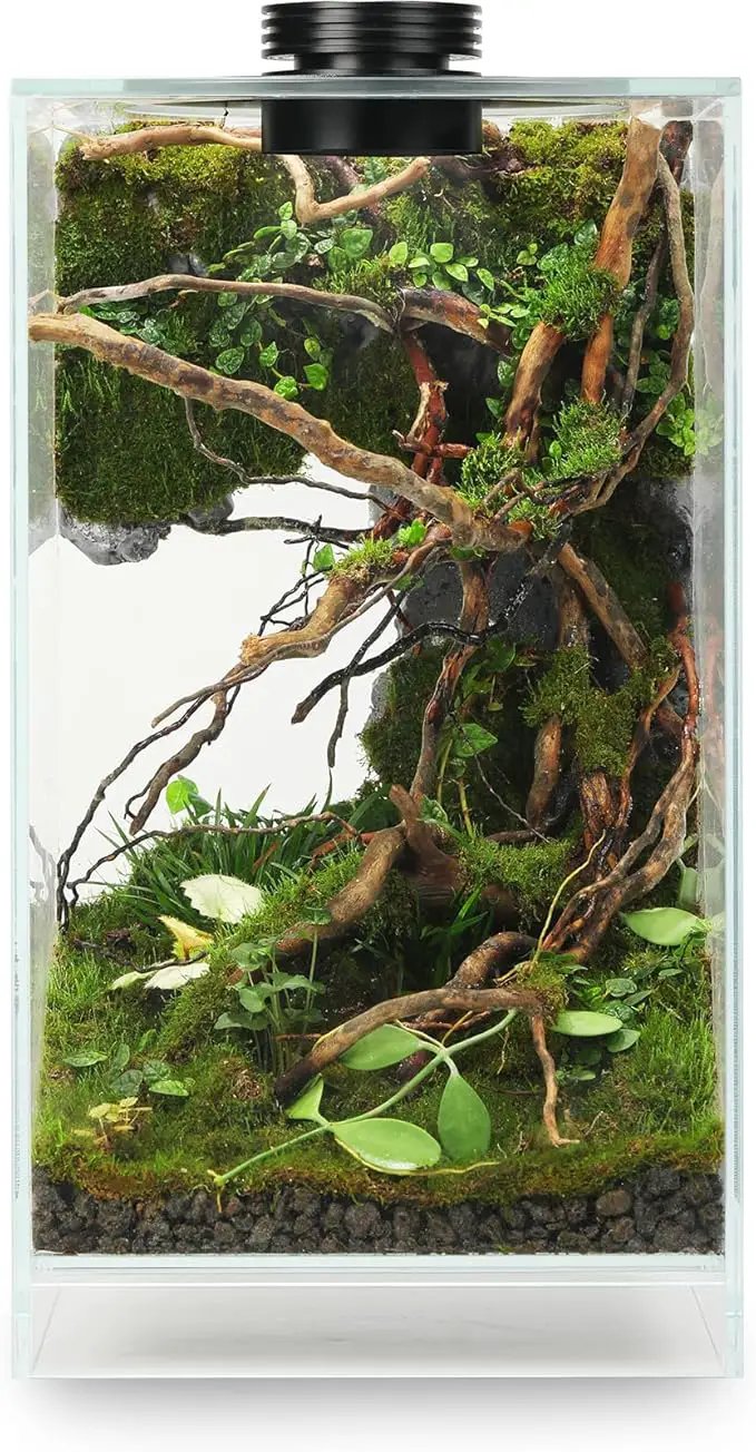 Desktop Glass Plant Terrarium with Grow Light(L7.8 W7.8 H14), for Succulent, Moss, Miniature Gardening Landscape, Betta Fish Tank, Indoor Plant Growth, Office Home Decoration (TimeControlled) by GreenHaven Gardens