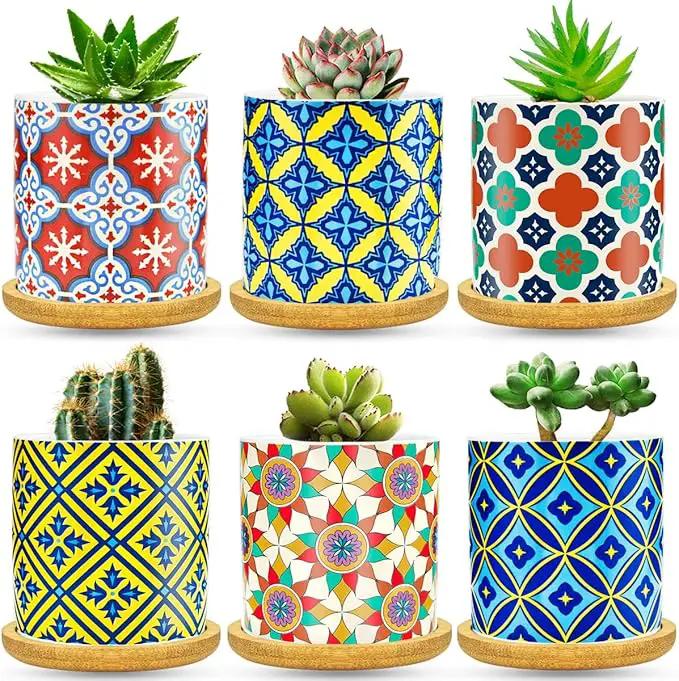 6 Pack Succulent Pots with Drainage Hole, 3 inch Ceramic Succulent Planter with Bamboo Tray, Bright Color Succulent Plant Pots for Cacti Succulent Soil Potting Mix Indoor/Outdoor by GreenHaven Gardens