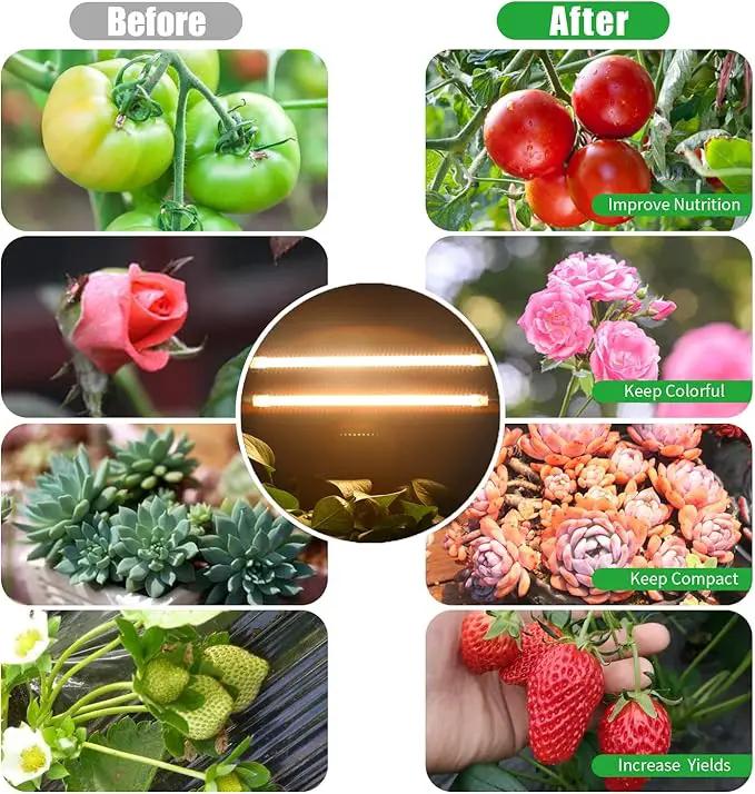 Two Strip Growing Lamp 2-Pack for Indoor Plants, 3000K Full Spectrum LED Grow Light Strips with Auto ON/Off 3/9/12H Timer & 10 Dimmable Levels for Green House Succulent (2 Head×2pcs) by GreenHaven Gardens
