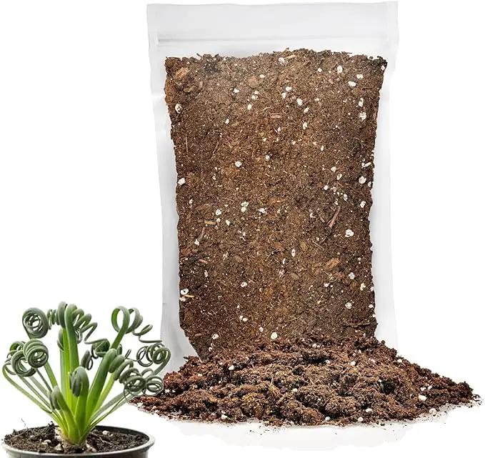Premium Albuca Spiralis Potting Soil Mix - Perfect Balance of Nutrients, Drainage, and Aeration for Thriving Blooms - 2 Quart by GreenHaven Gardens