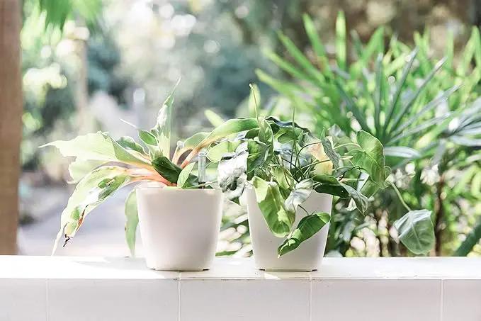 GARDENIX DECOR 5" Self Watering pots for Indoor Plants - Flower Pot with Water Level Indicator for Plants, Grow Tracking Tool - Self Watering Planter Plant Pot – 2 Pack White by GreenHaven Gardens