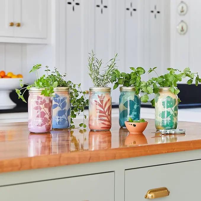Modern Sprout New & Improved Mason Jar Grow Set 6pk, Indoor Herb Garden, Seed Starter Set, Organic Seeds, Hydroponic Growing (Basil + Mint + Parsley + Cilantro + Rosemary+ Lavender) by GreenHaven Gardens