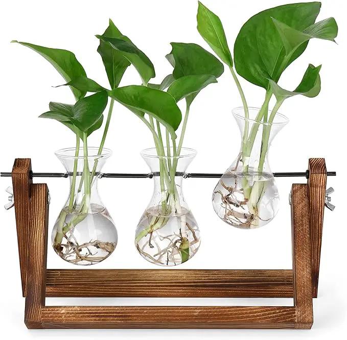 YIBOT Propagation Stations,Plant Terrarium with Retro Wooden Stand, Unique Gardening Birthday Gifts for Women Plant Lovers, Hydroponics Plants Home Office Garden Decor - 3 Bulb Glass Vases by GreenHaven Gardens