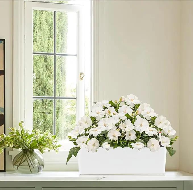 GardenBasix Elongated Self Watering Planter Pots Window Box 5.5 x 16 inch Indoor Home Garden Modern Decorative Planter Pot for All House Plants Flowers Herbs (White,1-Pack) by GreenHaven Gardens