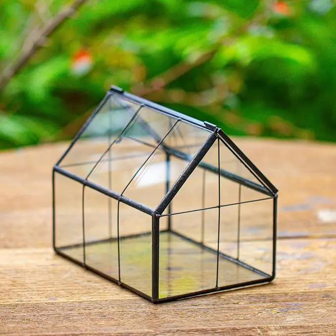 NCYP Mini Glass Terrarium with Lid - 6.1" x 4.25" x 4.92" House Shape Closed Planter Pot for Small Cactus, Succulents Plant - Home Garden Office Tabletop Geometric Decor, Black (Terrarium Only) by GreenHaven Gardens