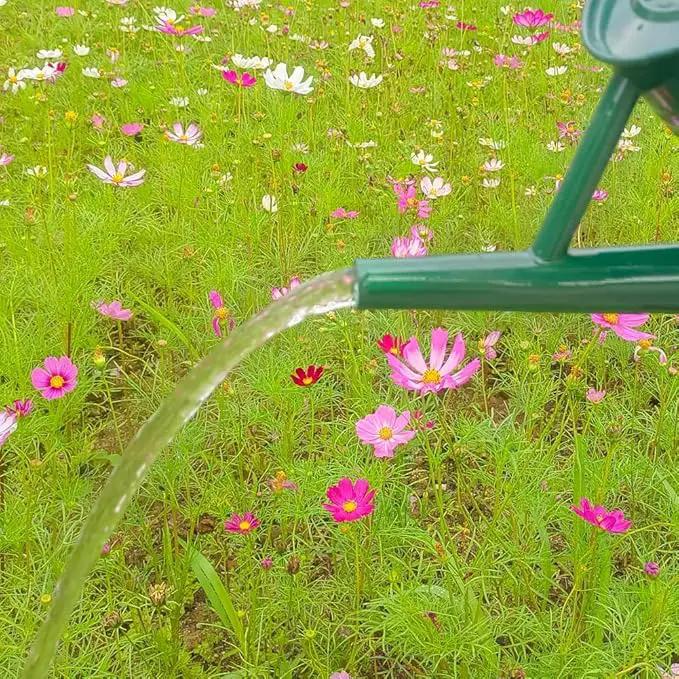 Metal Watering Can for Outdoor and Indoor Plants, Watering Can Decor, 1 Gallon (NewGreen) by GreenHaven Gardens