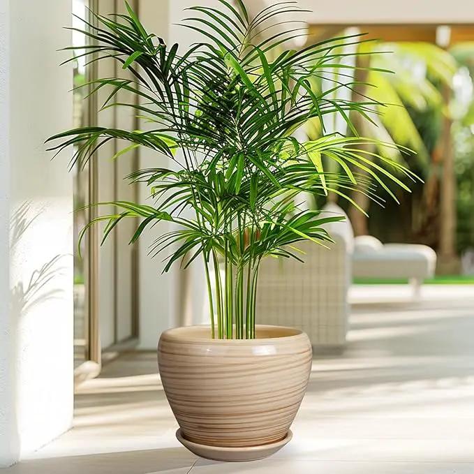 Planter Pot 8 Inch - Ceramic Pot for Plants Indoor Plant Pot with Drainage Hole and Saucer Round Planter Outdoor Modern Flower Pot Succulent Pot for House Patio Yellow by GreenHaven Gardens