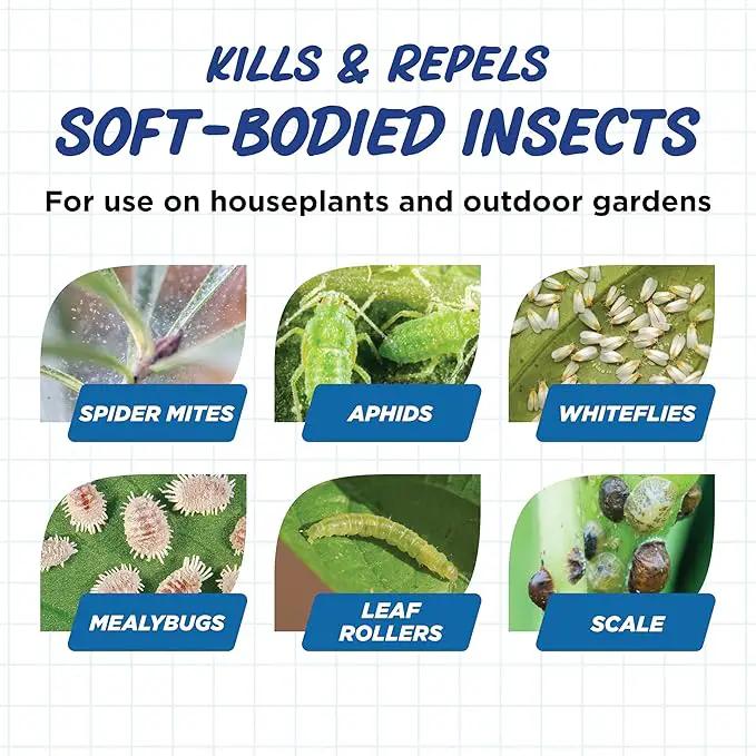 Earth's Ally Insect Control Concentrate for Plants 32 oz | Safe Outdoor & Indoor Plant Insecticide, Spider Mite, Aphid & Mealybug Killer - for Organic Garden & Household Plants by GreenHaven Gardens