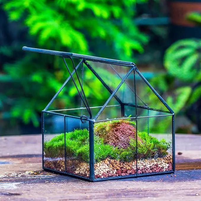 NCYP Mini Glass Geometric Terrarium with Lid - 4.25" x 4.25" x 4.92" Small House Shape Close Planter Pot for Succulents Plant - Handmade, Home Garden Office Tabletop Decor, Black (Terrarium Only) by GreenHaven Gardens