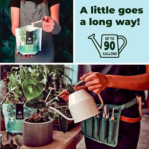 Big Green Leaves | Superfood Houseplant Fertilizer, Indoor Plants - Water Soluble Plant Food + Organic Kelp | 4X More Concentrated | 12-4-8 NPK (1LB) by GreenHaven Gardens
