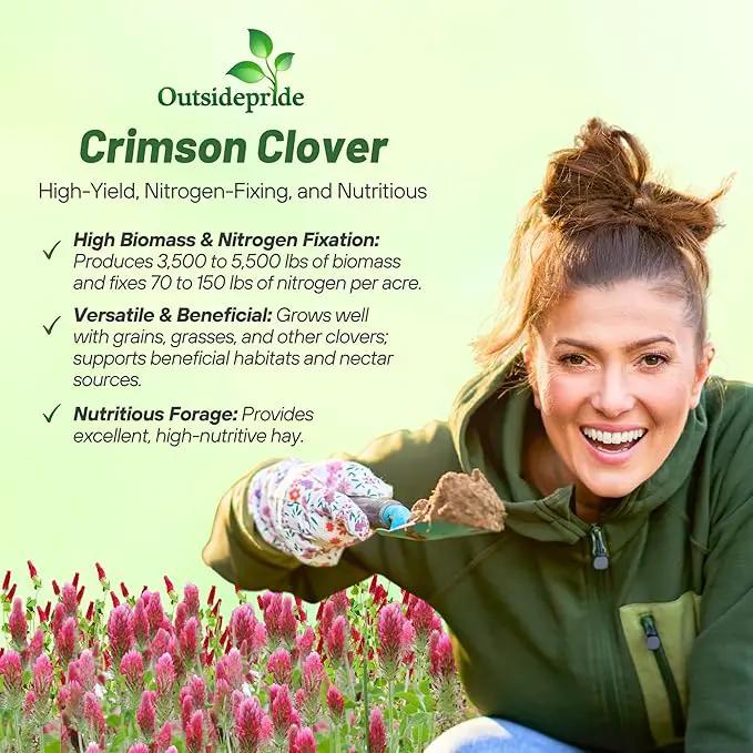 Outsidepride Crimson Clover Seeds - 5 lbs. Annual, Nitrocoated, & Inoculated Ground Cover Seeds, Ideal Clover Seed for Lawn, Cover Crop, Pasture, Hay, Green Manure & Wildlife Forage by GreenHaven Gardens
