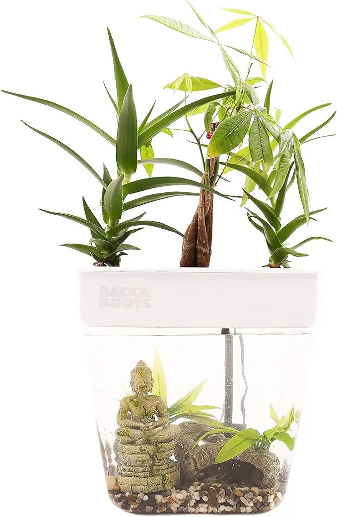 Back to the Roots Indoor Hydroponic Garden - 3 Gallon Self Watering, Mess-Free Planter for Herbs, Microgreens, Bamboo, Succulents, and Houseplants, Green by GreenHaven Gardens