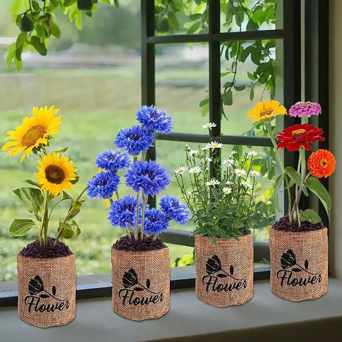 Indoor Daisy Garden Starter Kit, 4 Flower Seeds Growing into Shasta Daisy, Cornflower, Sunflower, Zinnia, Including Complete Gardening Tools, Christmas Gifts for Women Men & Beginners by GreenHaven Gardens