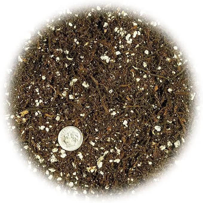 Fern + Perlite Soil Mix - 10 Quart - for Repotting and Planting Succulents and Cactuses (2 Bags of 5 Quart) by GreenHaven Gardens