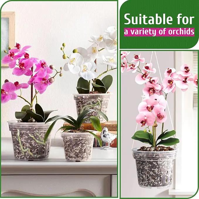 REMIAWY Orchid Pot - 6 Pack Clear Plastic Orchid Pots with Holes, Slotted Flower Planter for Indoor Outdoor Use, 3 Each of 4.1 and 4.8 Inch by GreenHaven Gardens