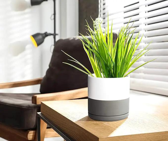 D'vine Dev Set of 2 Plants Pots, 6 Inch Ceramic Planter Pot for Plants with Drainage Hole and Saucer, White/Speckled Grey, 94-V-C-6 by GreenHaven Gardens