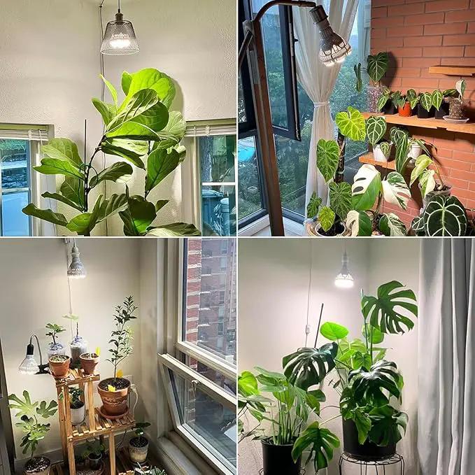 SANSI Dimmable Grow Light Bulb Full Spectrum, High PPFD 40W (600 Watt Equiv) with Remote, Auto On Off Timing 4 8 12 Hrs, Energy Saving Plant Light Bulb with E26 Base for Indoor Plants by GreenHaven Gardens