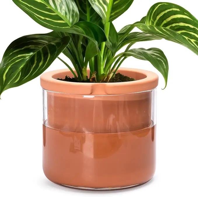 Phoenix Vine 8 Inch Self Watering Planter Pots, Design White Terracotta Pots for Plants, Indoor Cylinder Terra Cotta Pots with Glass Vase, Set of 1, 51-A-H-1 by GreenHaven Gardens