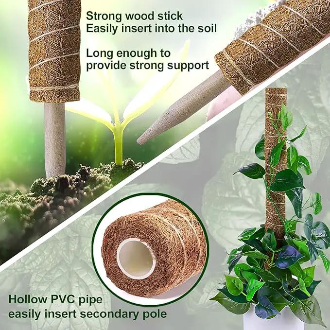 Moss Pole 36 Inch - Monstera Plant Support, 2 Pack 20.5 Inch Plant Stakes for Indoor Plants Coco Coir Moss Pole Sticks for Climbing Potted Live Plants, Pothos, Philodendron, with Garden Ties by GreenHaven Gardens
