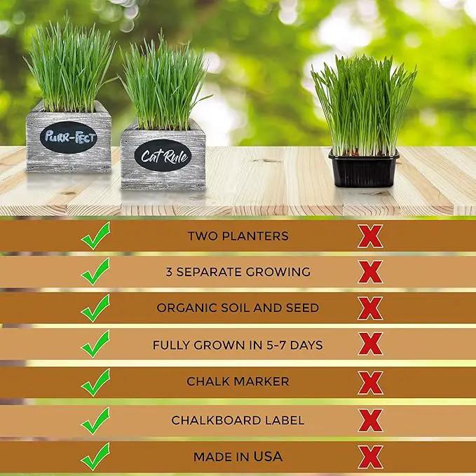 Cat Grass for Indoor Cats Kit – Organic Wheatgrass Seed & Soil, Hairball Remedy in Red Cedar Planter, Gift Box with Bonus Label, Pen & 10% Cat Treats Discount (White) by GreenHaven Gardens