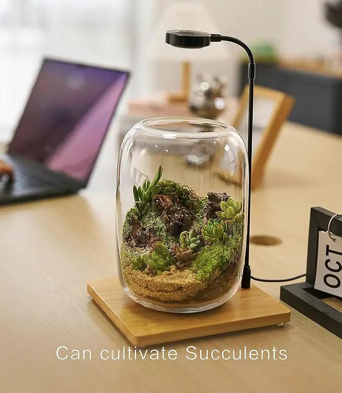 Terrarium Kit/Supplies Terrarium Plants Set with Grow Light, for Succulents Miniature Gardening, Include Terrarium jar Tool Set Live Moss Rocks Soil Driftwood and Decor, for Plant Lovers by GreenHaven Gardens