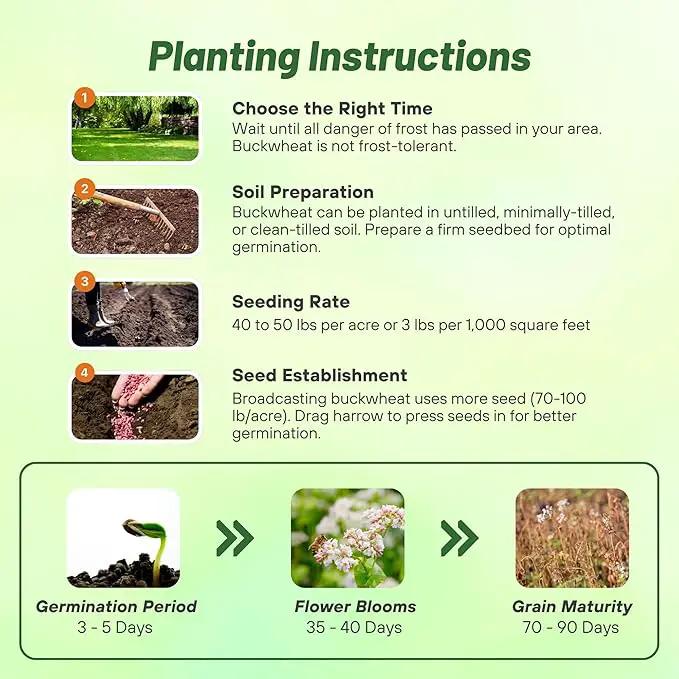 Outsidepride Buckwheat Seeds - 10lbs Annual, Fast-Growing, Easy to Grow Buckwheat Cover Crop Seeds for Green Manure, Bee Pasture & Pollinators, Wildlife Habitat, Soil Improvement, and Erosion Control by GreenHaven Gardens