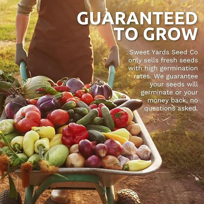 Organic Seeds Ultimate Variety Pack - 60 Individual Packs - 2025 Season - Geonvese Basil, Nantes Carrot, Roquette Arugula and More! for Indoor & Outdoor Planting (Non-GMO, Certified Organic) by GreenHaven Gardens