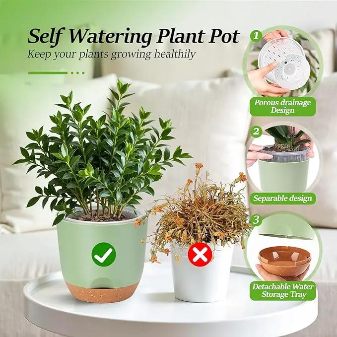 7.2 Inch Self Watering Orchid Pots for Indoor Plants,Macetas para Orqudeas,Flower Pots for Indoor Plants with Holes(Green) by GreenHaven Gardens