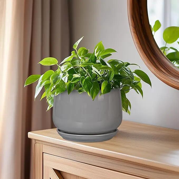 G EPGardening Ceramic Pot for Plants - Modern 6 Inch Round Planter Indoor with Drainage and Tray for Indoor Outdoor Flower, Patio Decor, Teacher Gifts, Grey by GreenHaven Gardens